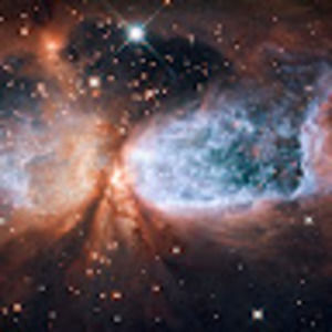 Meet your Posher, Jesse